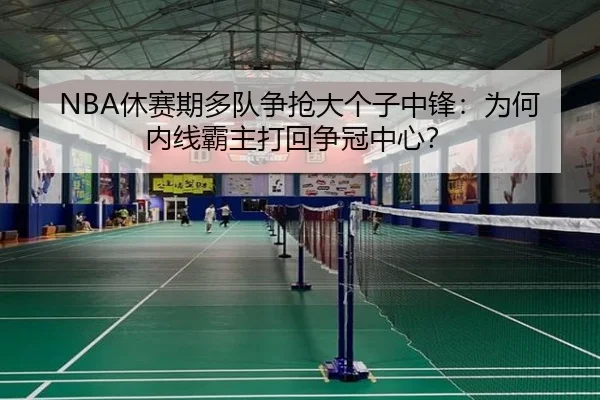 NBA休赛期多队争抢大个子中锋：为何内线霸主打回争冠中心？